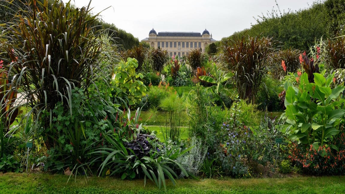 Jardin des Plantes