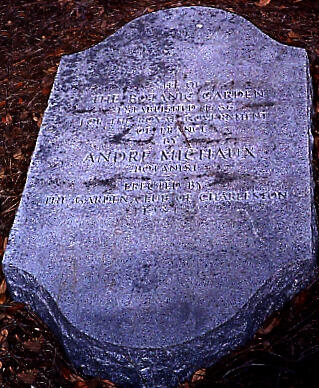 Michaux's headstone at Charleston airport