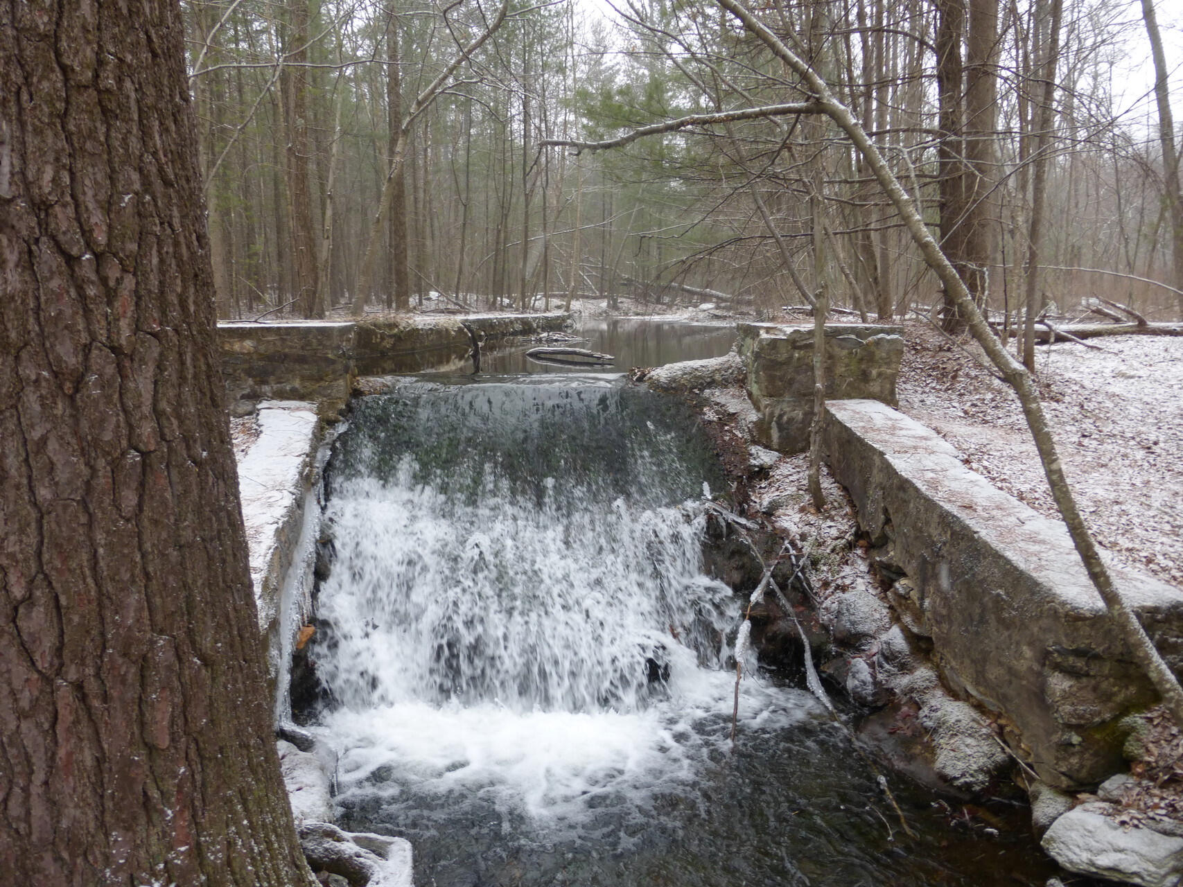 Michaux State Forest photo 2