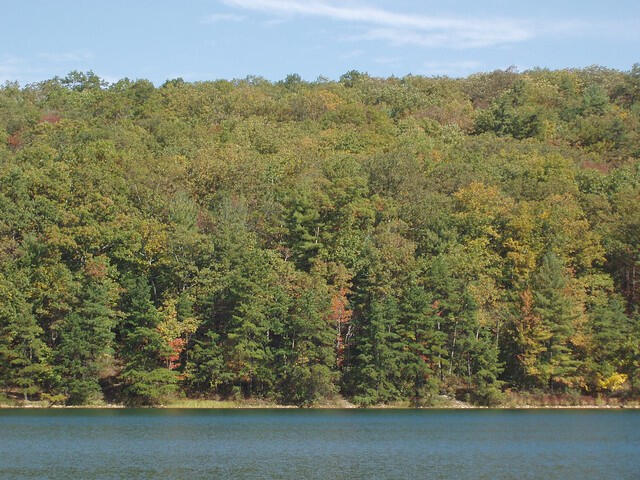 Michaux State Forest