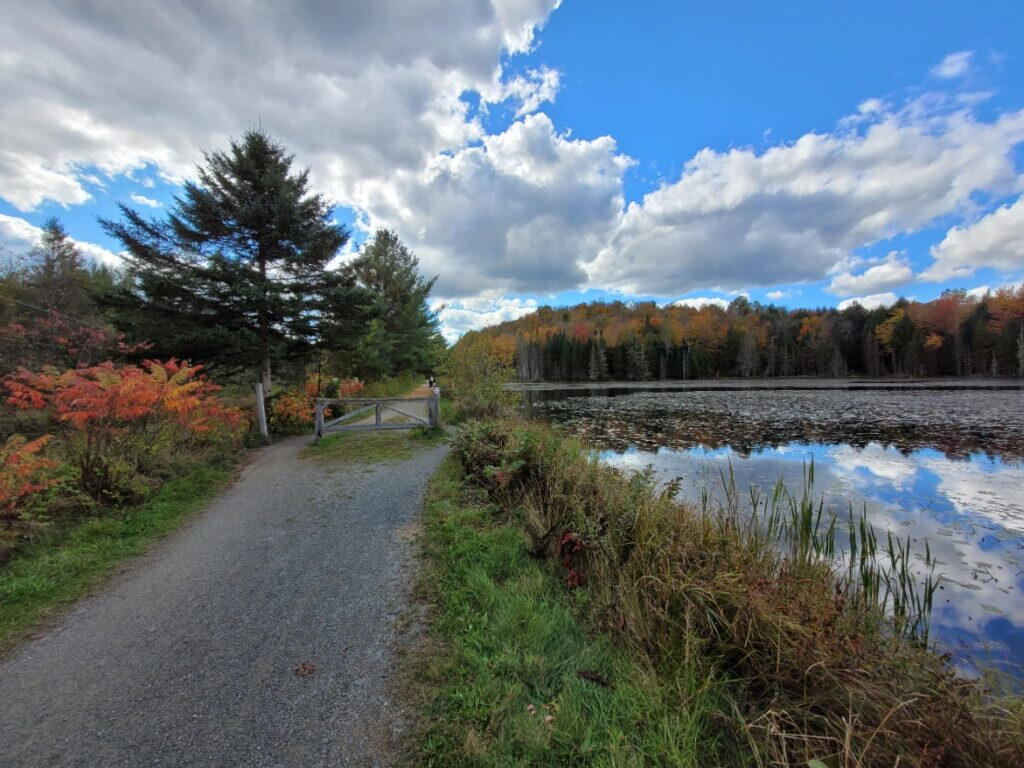 Réserve Écologique Michaux - Tomifobia